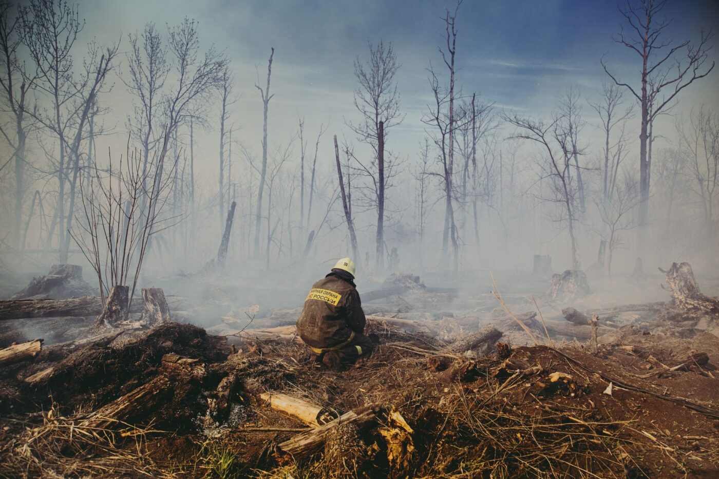 firefighter in aftermath of forest fire